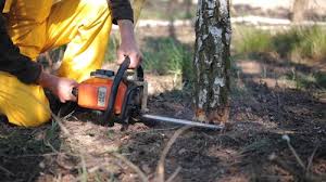 Lawn Maintenance Plans in Dranesville, VA