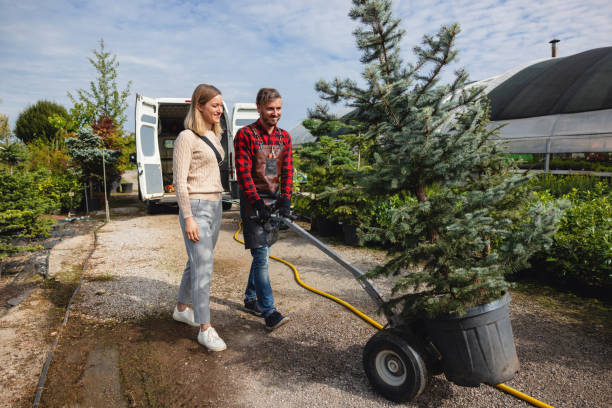 Best Seasonal Cleanup (Spring/Fall)  in Dranesville, VA